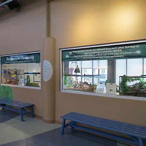 Changing Rivers - Classroom Windows - Four Terrariums