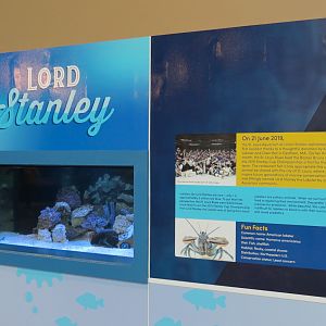 American Lobster Exhibit