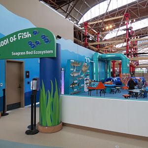 Flo's School Of Fish - Children's Educational Play Area