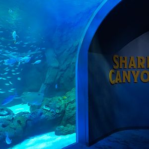 Shark Canyon