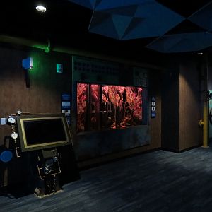 The Deep - Exhibit Designed For Octopus (None Occupying Currently)