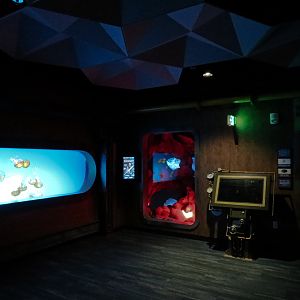 The Deep - Pacific Sea Nettle Exhibit