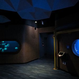 The Deep - Jelly Exhibits