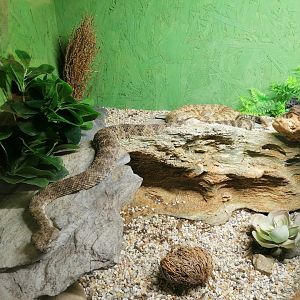 Reptilienzoo Scheidegg