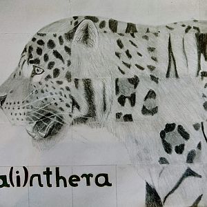 Pa(i)nthera - Finished!
