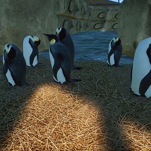 Penguins