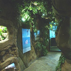 View of a typical visitor corridor, 2014-02-16
