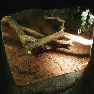 Snake terrarium, 2014-02-16