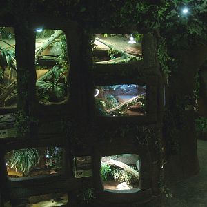 Wall with terrariums, 2014-02-16