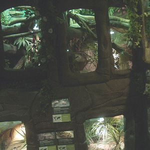 Wall with terrariums, 2014-02-16