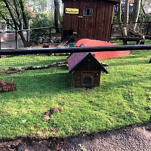 Wildpark Lüneburger Heide- rabbit exhibit- 2021