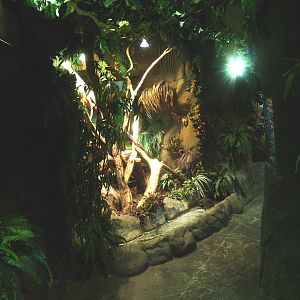 Viewing area green iguana exhibit, 2014-02-16