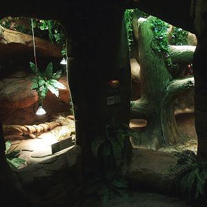 Reticulated python terrarium, 2014-02-16