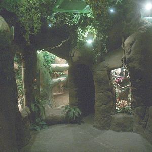 Viewing area large terrariums, 2014-02-16