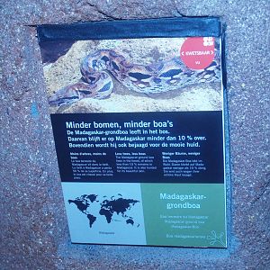 Signage example Malagasy ground boa, 2014-02-16