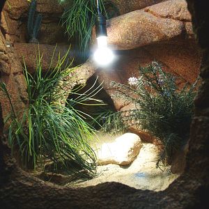 Desert terrarium, 2014-02-16