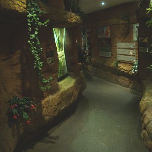 View of visitor corridor in the area with the arid terrariums, 2014-02-16