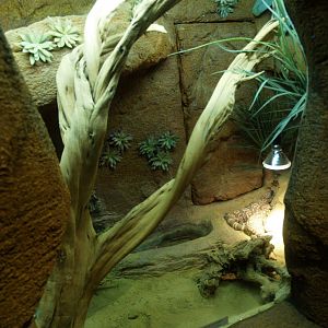 Gila monster terrarium, 2014-02-16