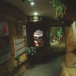 View of visitor area in the zone with arid terrariums, 2014-02-16