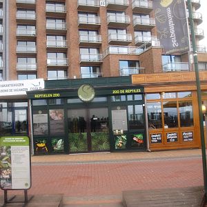 Entrance in 2017, 2017-02-06