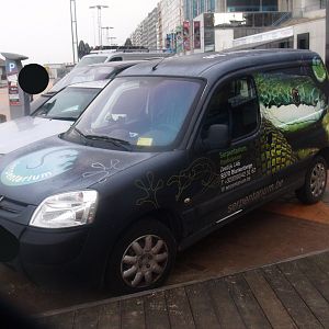 Serpentarium car, 2017-02-06