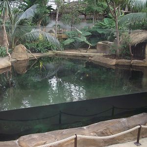 False Gharial Enclosure - Zooparc de Beauval - 06/2020