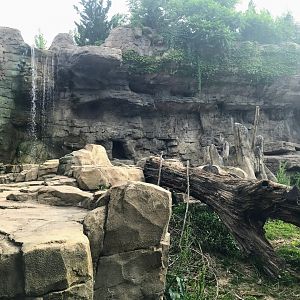 Centene Grizzly Ridge