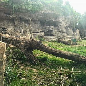 Centene Grizzly Ridge