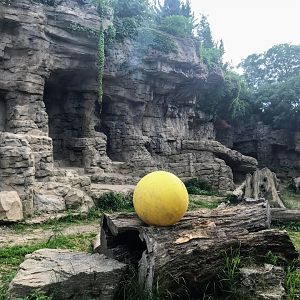 Centene Grizzly Ridge