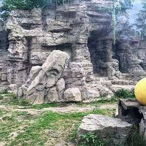 Centene Grizzly Ridge