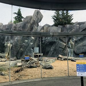 McDonnell Polar Bear Point