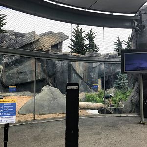 McDonnell Polar Bear Point