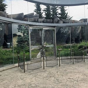 McDonnell Polar Bear Point