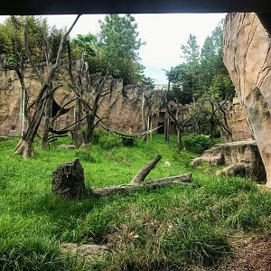 Donn and Marilyn Lipton Fragile Forest