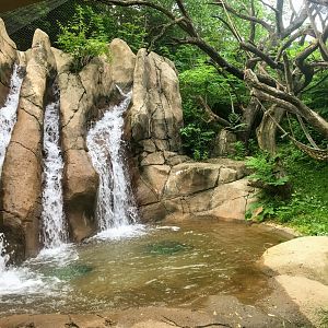 Donn and Marilyn Lipton Fragile Forest