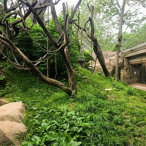 Donn and Marilyn Lipton Fragile Forest