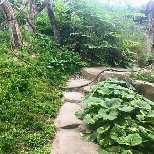 Donn and Marilyn Lipton Fragile Forest