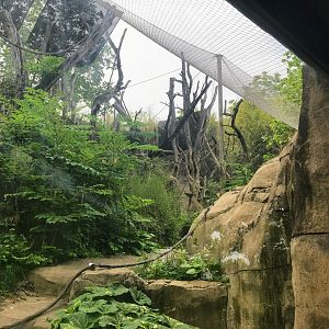 Donn and Marilyn Lipton Fragile Forest