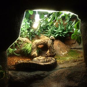 Ball python terrarium, 2017-02-06