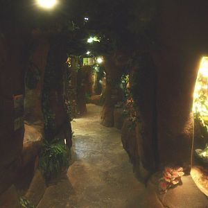 Typical visitor corridor, 2017-02-06