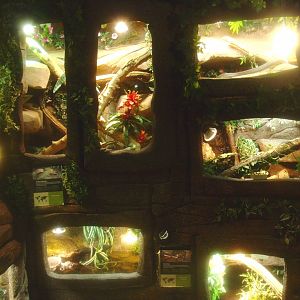 Wall with terrariums, 2017-02-06