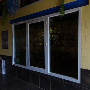 New enclosure for caiman lizards 2021