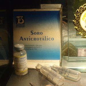 Antivenom viles and packaging, 2017-02-06