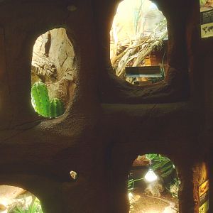 Wall with arid terrariums, 2017-02-06