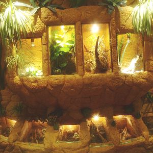 Arachnid terrariums, 2017-02-06