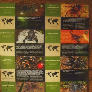 Arachnids signage, 2017-02-06