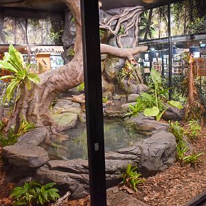 New Anaconda/Boa Constrictor Enclosure