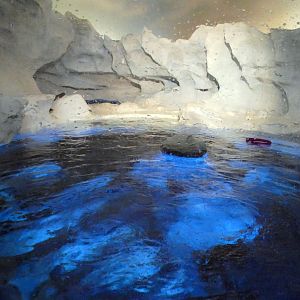 May. 2021 - Wild Arctic - Harbor Seal Exhibit (Former Polar Bear)