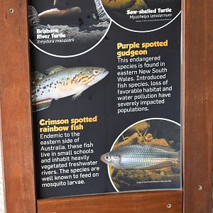 Fish Signage