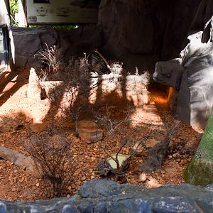 Shingleback Enclosure